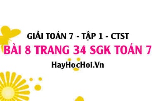 Giải bài 8 trang 34 Toán 7 Tập 1 SGK Chân trời sáng tạo